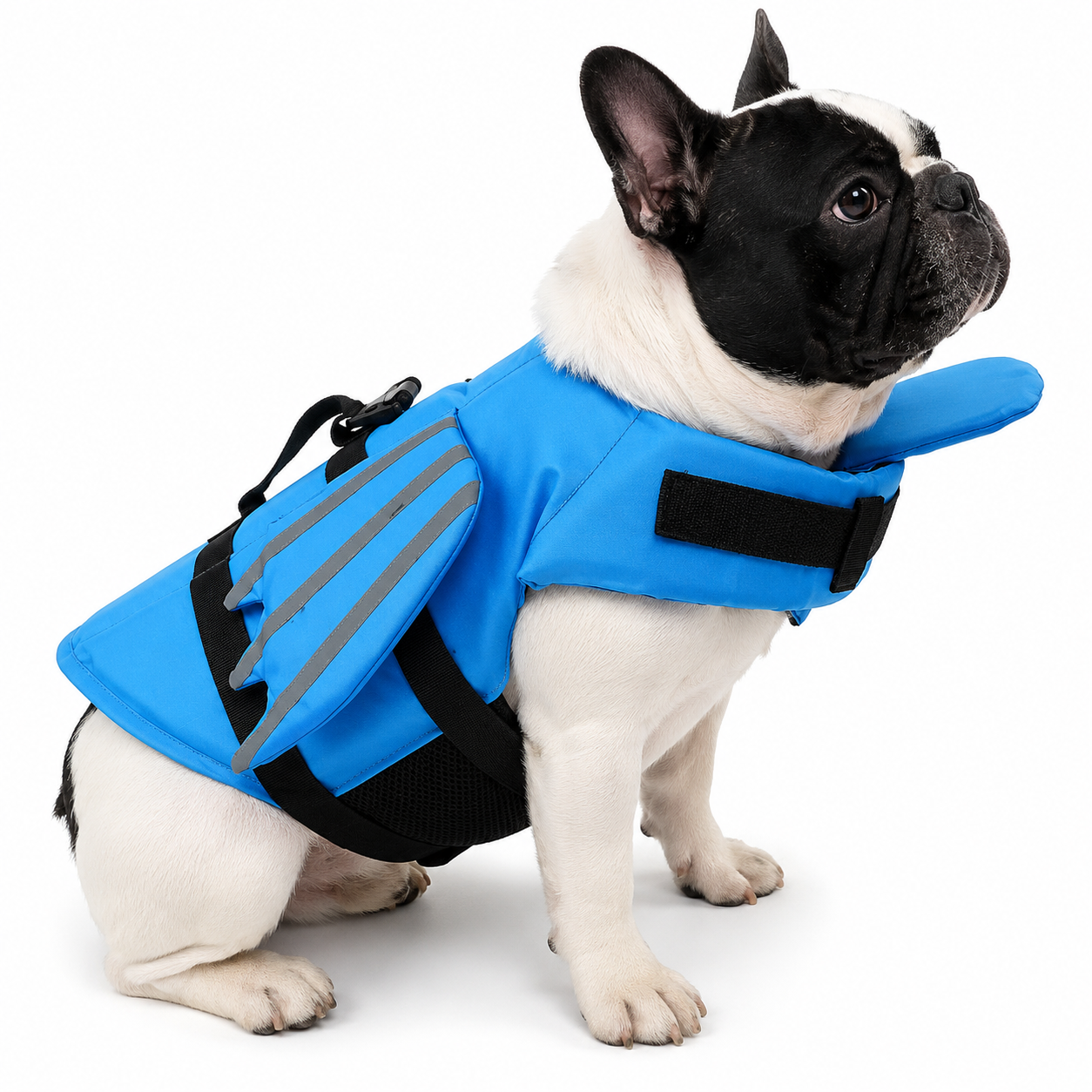 Tailvia Dog Life Jacket with Reflective Strips, Adjustable