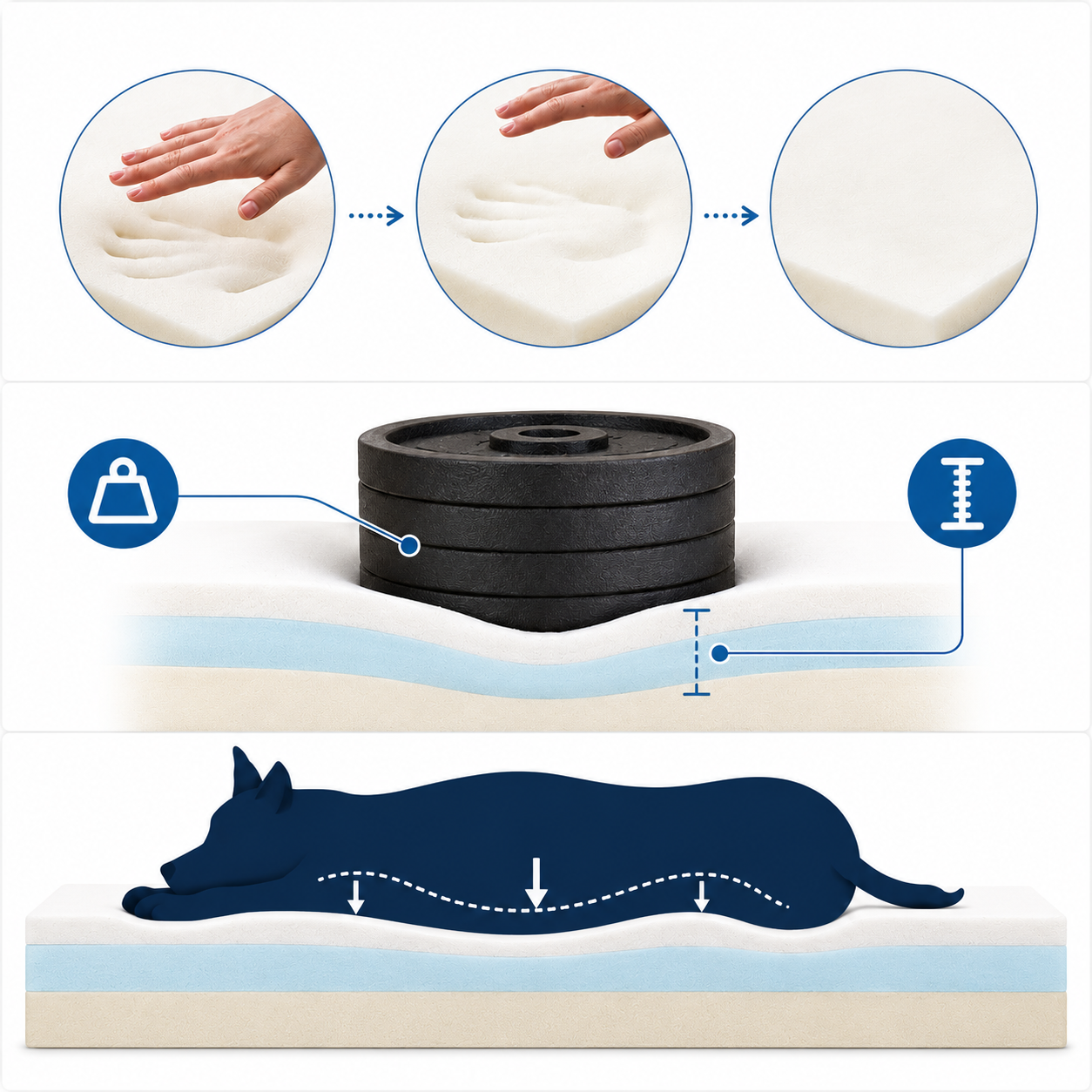 Tailvia Orthopedic Dog Bed with Memory Foam, Large